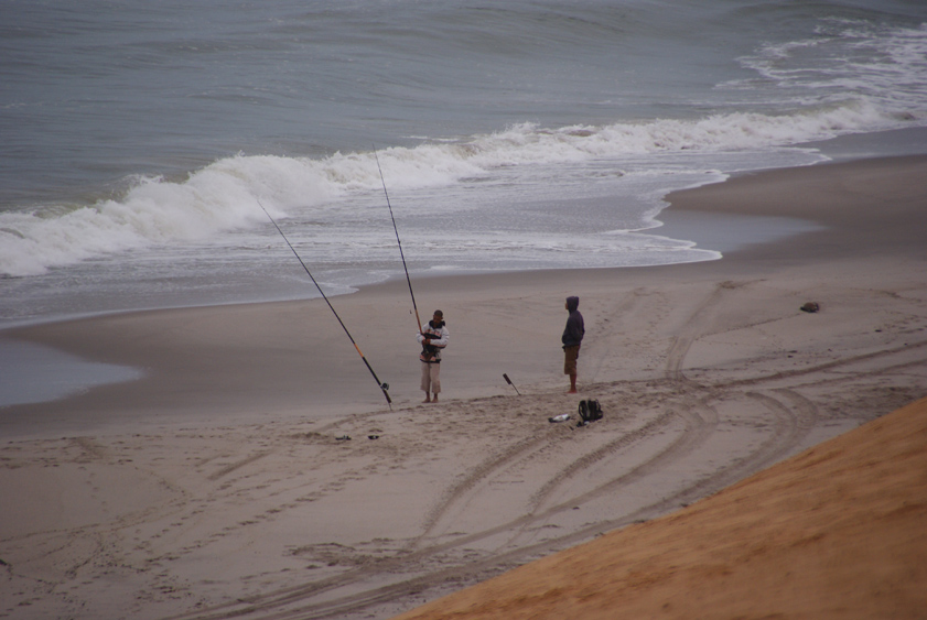 01 am strand von henties bay.jpg